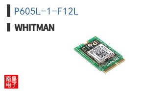 P605L-1-F12L ͼƬ